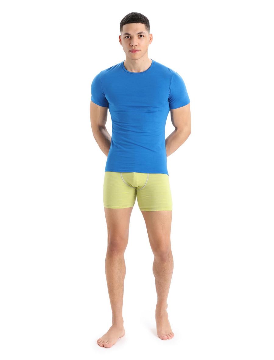 Icebreaker Merino Anatomica Long Boxers Férfi Fehérnemű Menta | HU 1283UZGT